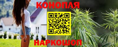 индика Ливны
