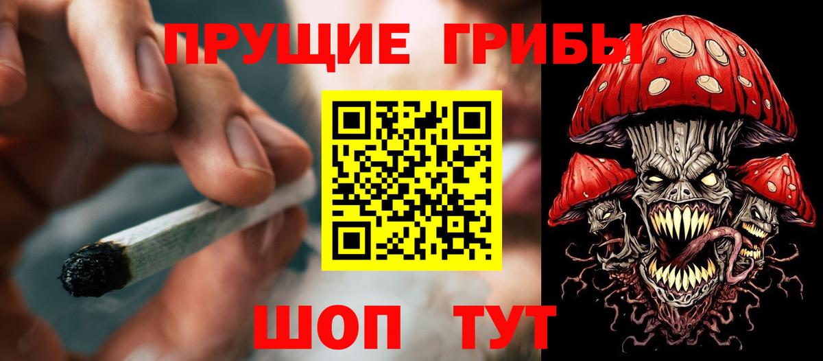 Псилоцибиновые грибы мицелий Дальнереченск