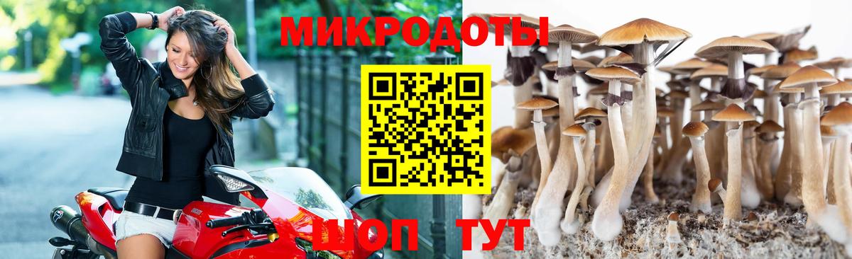 где можно купить наркотик  Галлюциногенные грибы Psilocybine cubensis  Вход с VPN  Галлюциногенные грибы мицелий  Дальнереченск 
